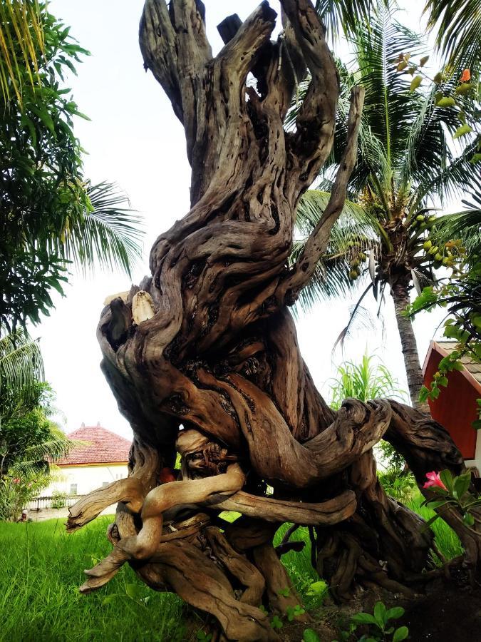 Coconut Gili Meno Hotel Exterior photo